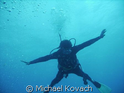Diver descending onto the inside reef at Lauderdale by th... by Michael Kovach 